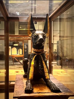 Anubis
